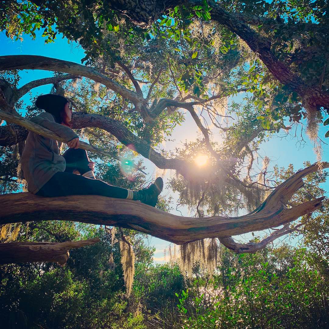 FLStateParks's tweet photo. Are you opting outside at a #FLStatePark today? ๐ฒ
Don't forget to show us how you #OptOutsideFL for a chance to win a Florida State Park prize back! https://t.co/X5gNGI0ySO