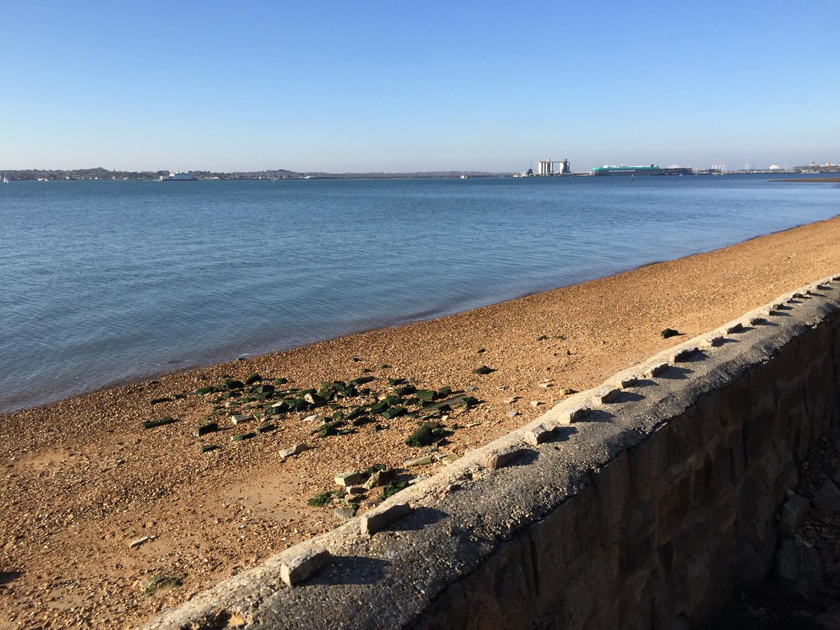 AdamManning's tweet photo. #Netley's Conkerfield https://t.co/iw8PYRh5VH #Hampshire https://t.co/O1ydQIabtC