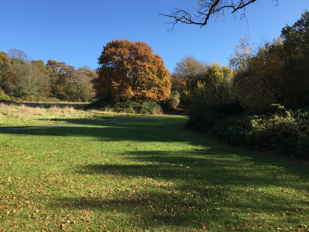 AdamManning's tweet photo. #Netley's Conkerfield https://t.co/iw8PYRh5VH #Hampshire https://t.co/O1ydQIabtC