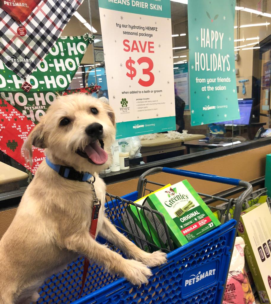 PetSmart on Twitter "Black Friday Deals! Shop at your local PetSmart
