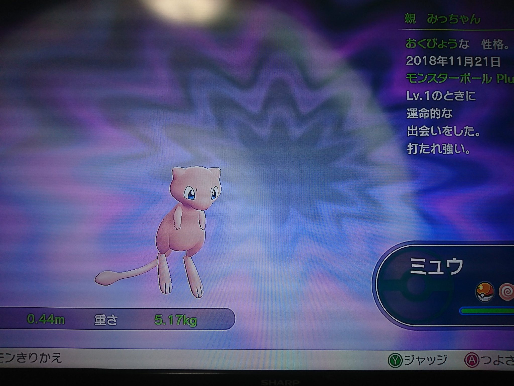 みっちゃん ピカブイでミュウ受け取ったけど性格おくびょうでこの個体値とか当たりじゃん T Co Tbsffcisiv Twitter