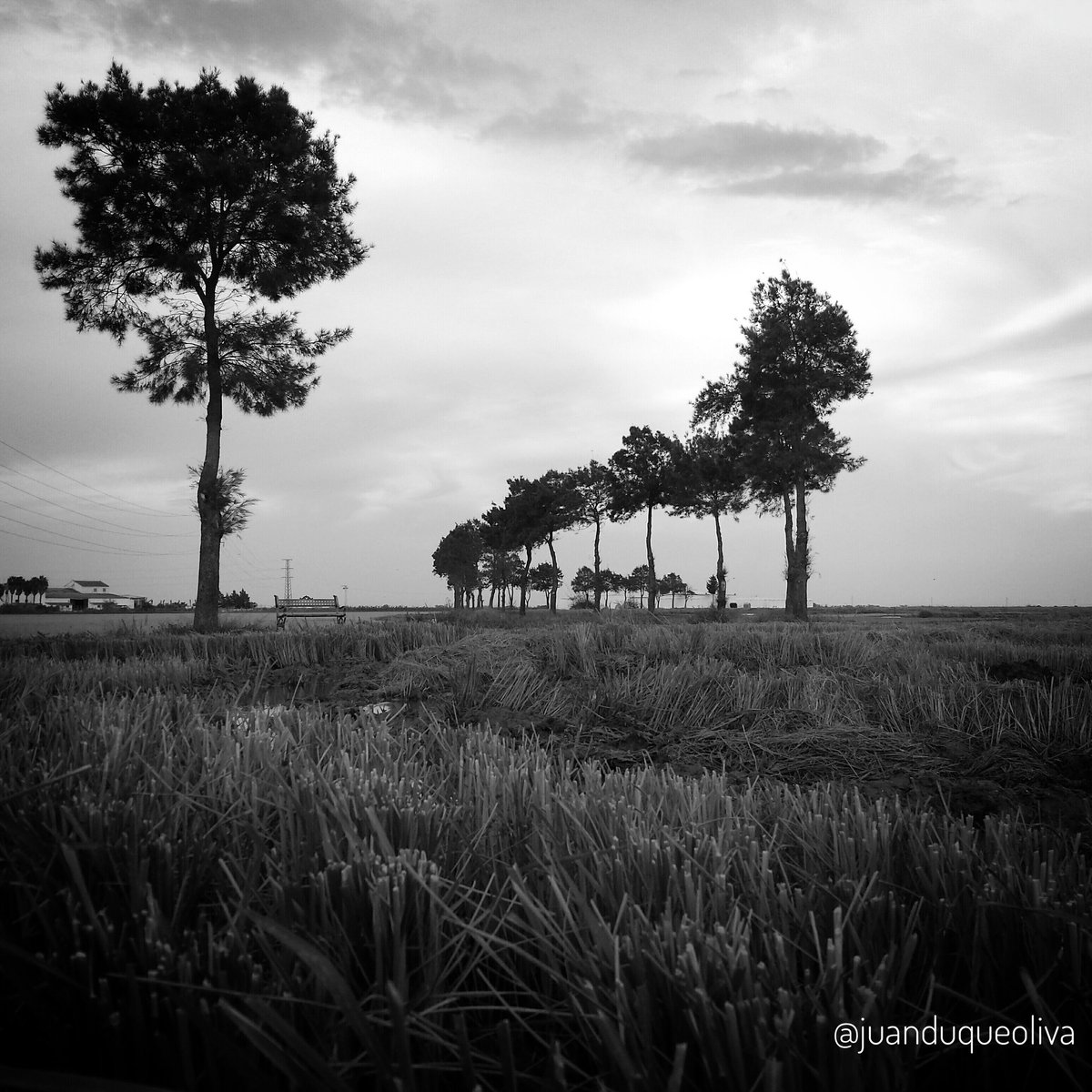 Juan Duque Oliva tweet media