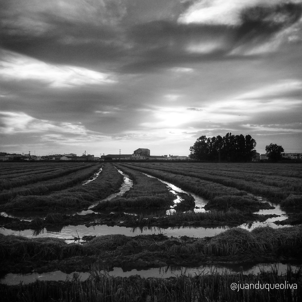 Juan Duque Oliva tweet media