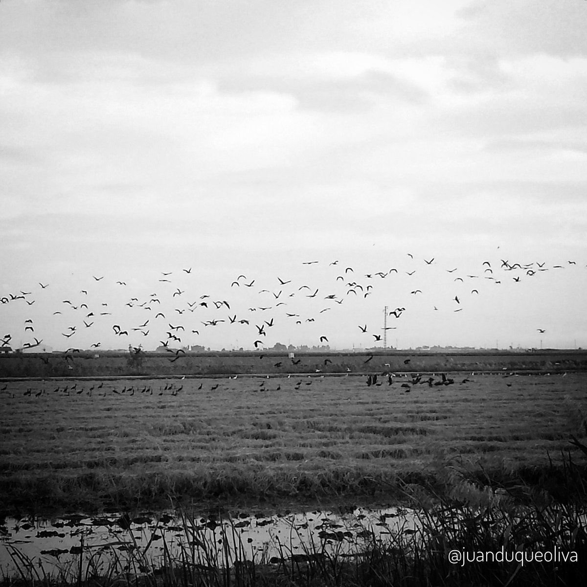 #IslaMayor también en #AunahoraESevilla <a href="/aunahorade/">aunahorade</a>.  <a href="/gelvescomunica/">Ayto. de Gelves</a>  <a href="/espartinas/">Ayuntamiento de Espartinas</a> <a href="/AytoUmbrete/">Ayto. Umbrete</a> <a href="/AytoGines/">Ayuntamiento de Gines</a> <a href="/AytoPilas/">Ayuntamiento de Pilas</a> <a href="/AytodeIslaMayor/">Ayto de Isla Mayor</a>. Coches eléctricos: <a href="/tysaford/">TYSA Ford</a> @PeugeotCalonge <a href="/psaretail/">PSA Retail</a> <a href="/SyrsaAutomocion/">Syrsa Automoción</a> 🚘 <a href="/RedGuadalinfo/">Vuela Guadalinfo</a> <a href="/Cruzcampo/">Cruzcampo #ConMuchoAcento</a>  <a href="/abadeshoteles/">Abades Hoteles</a> <a href="/bodegassalado/">Bodegas Salado</a> <a href="/ae_asedes/">ASEDES</a>