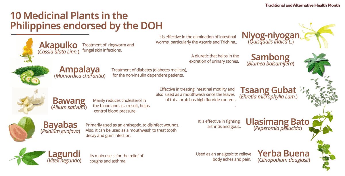 apmcsn's tweet photo. November is Traditional and Alternative Health Care (TAHC) Month under the Presidential Proclamation No. 698 of the Philippines.
Check the full content on our Fb page https://t.co/55s2YLbKdH
Pubmat by: Mindanao State University - College of Medicine
#In4Health #APMCSN360 https://t.co/ODs4WAw926