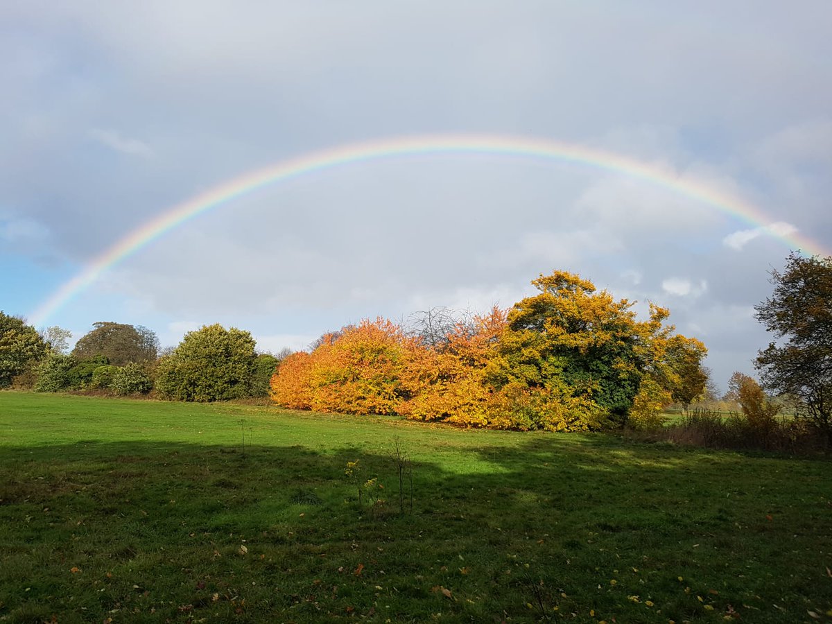 CmButler27's tweet photo. Rewarded after a walk in the rain @AveryHillPark #rainbow #Wellbeing https://t.co/sY32PyF8G2