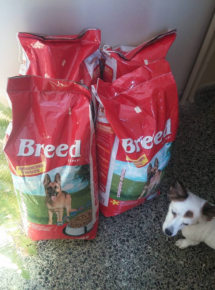StrayThess's tweet photo. Food donations used to feed our stray friends! 🙏🐶🐱 #SaveGreekStrays #AllSpeciesAreEqual #StrayThess https://t.co/4Q91s6eh0a
