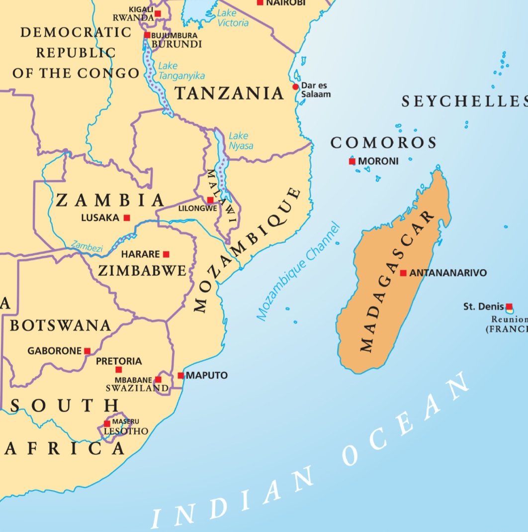 OnlyAfricaFacts's tweet image. Do you know that 90% of Madagascar&apos;s mammals and plants, over 95% of its reptiles and over 99% of its amphibians can&apos;t be found at any other place on Earth?