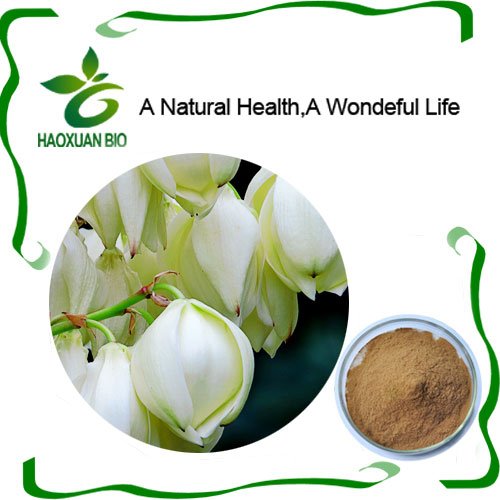NaturalHealth9's tweet photo. Function of #Yucconin:

1. to remove odor;

2. to suppress the breeding of protozoa and other noxious bacteria;

3. to increase the amount of beneficial bacteria, and maintain good intestinal tract circumstances;

 #HappyThanskgiving https://t.co/qJ5tr4EJ2o