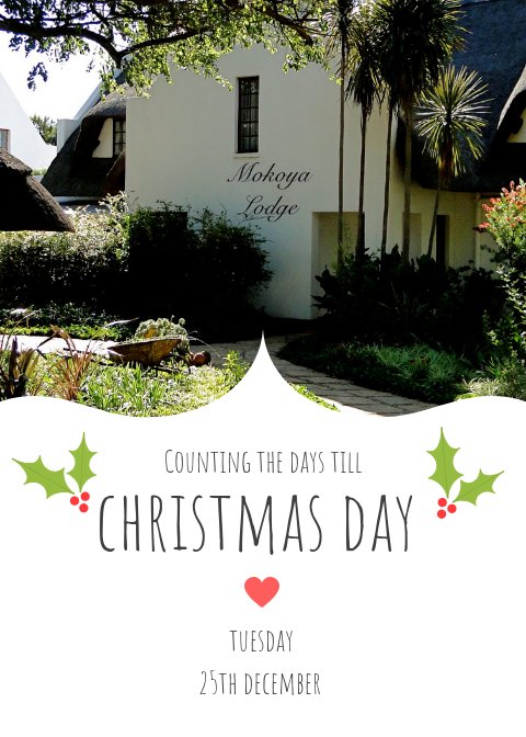 MokoyaLodge's tweet photo. Are you counting the days till Christmas Day? Have you booked a table for your Christmas Lunch - Don't Delay - BOOK TODAY #Mokoya https://t.co/eIXhw8p61b