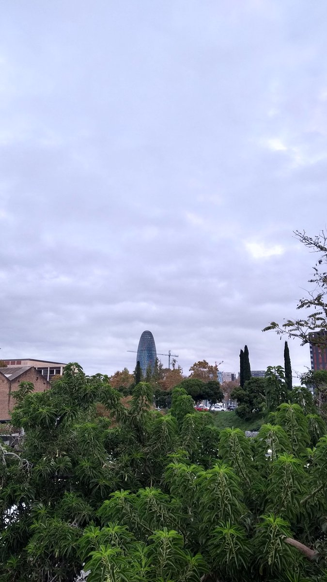 AlfredRPico's tweet photo. Bon dia, tanto #BlackFriday y en #Barcelona nos ha salido más bien un #GreyFriday 🤷 #meteo https://t.co/onT4c953TJ