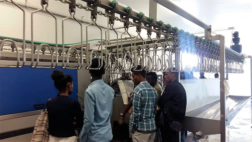 ENTAGProgram's tweet photo. #ENTAG in collaboration with the #EKN and #APF_Ethiopia officially  launched #YouthBusinessChallengeCompetition. New graduates in five groups will compete on waste management solutions for #agribusiness companies in #Ethiopia. https://t.co/2LKI5JUykM