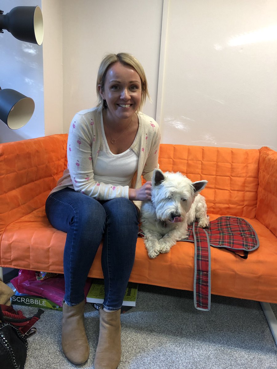 Rosco & Molly the Westies (& Bilz 🌟🌈) tweet media