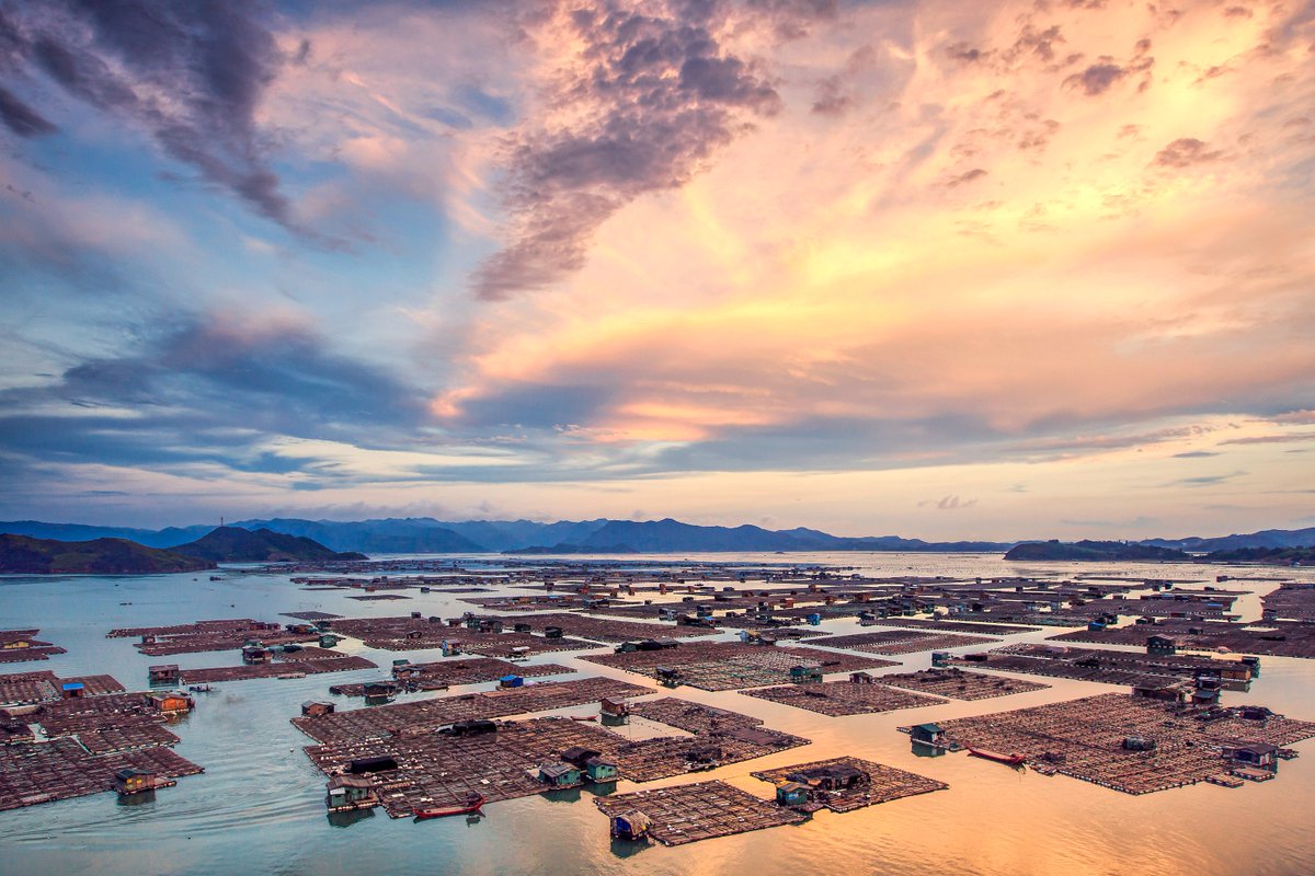 Conoce Xiapu, la región con los amaneceres más impresionantes de China Image result for xiapu china sunset