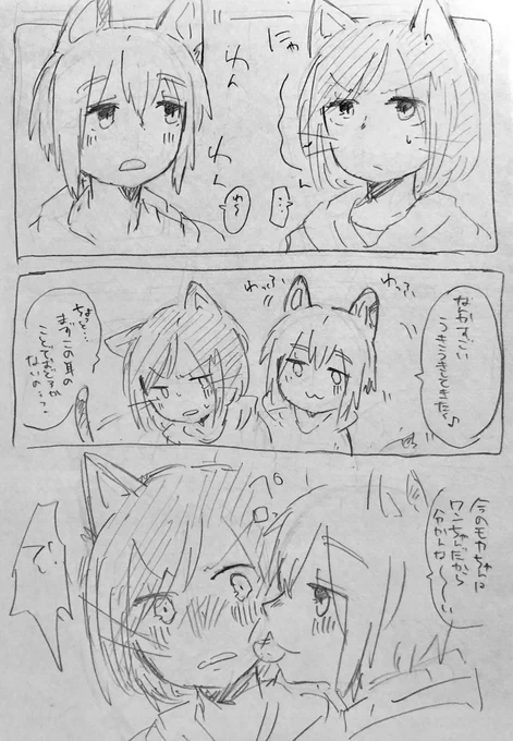 11月22日のモカ蘭ちゃん(オチはない)