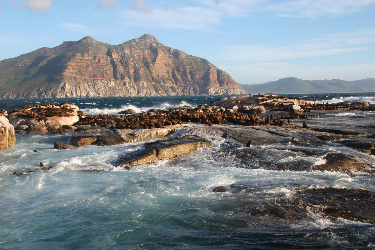 Swimming with the seals at Duiker Island has to be on your list of bucket list experiences, followed by a stiff gin and tonic, of course.

#Duikerisland #Gin
