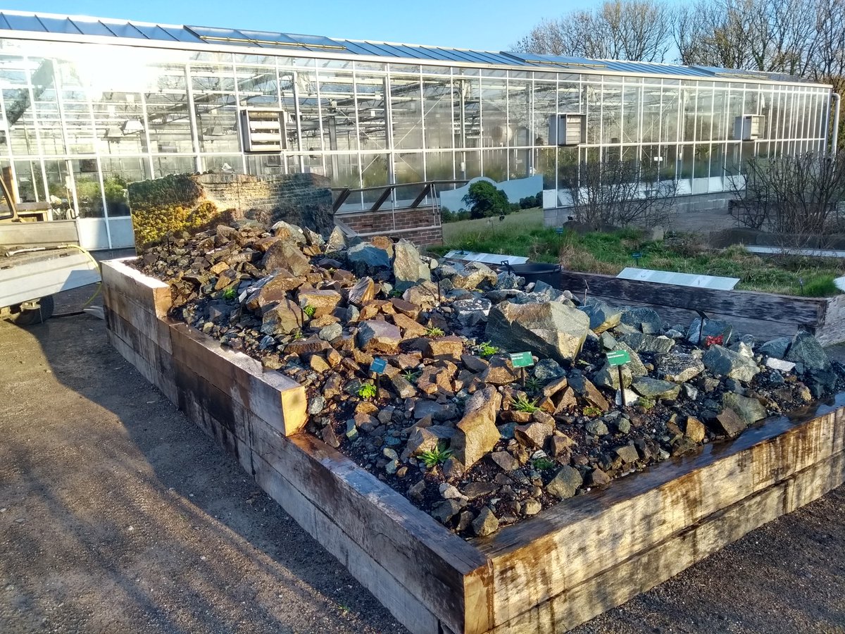 floramental's tweet photo. Satisfaction is finally seeing the main piece of interpretation going into the new display bed! Cannot wait to see the #WelshNativesProject plants fill out in spring! 🌱 https://t.co/9pdJDmTNZJ