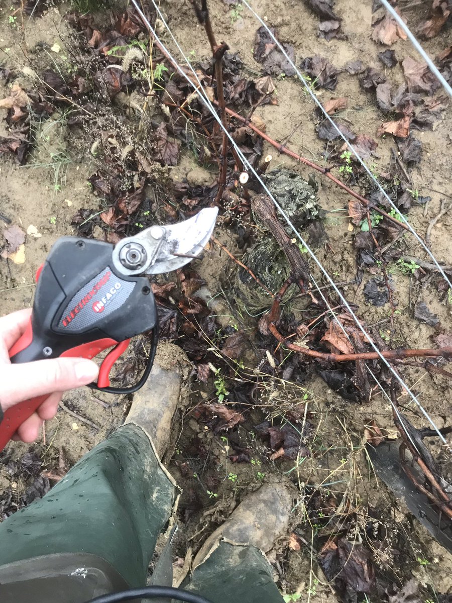 Coucou les vinocampeurs !! Gros bisous depuis #Meursault 😚 #vinocamp #missyou