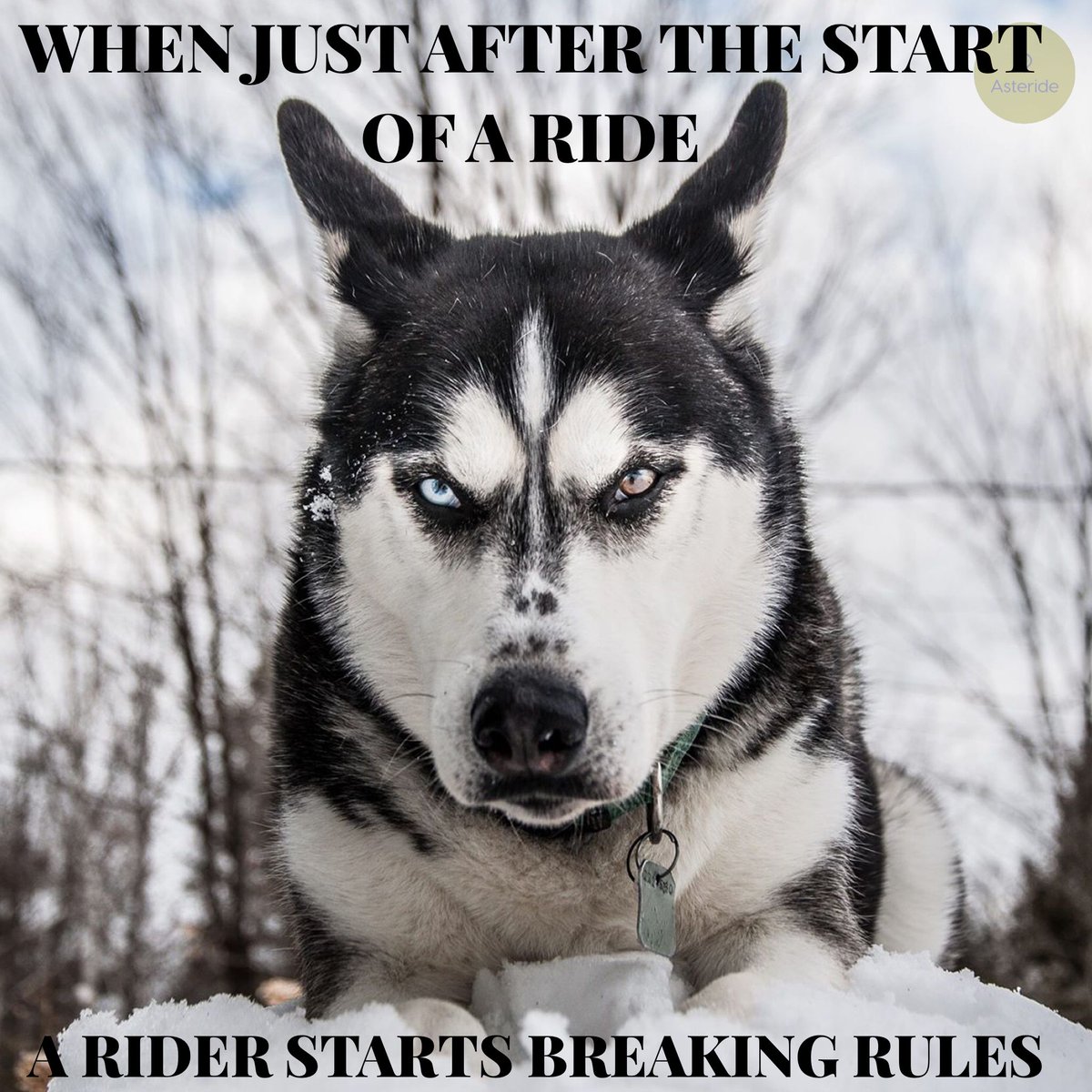asterideapp's tweet image. I can completely connect with this. Happens all the time! 
.
.
.
#grouprides #ridetogether #asteride #asterideapp #asterider #beingasterider #angrywolf #wolf #safety #ridersafety #alpha #memes #bikermemes #ride #funny #funnymemes #groupride #grouprides #alphariders #bikerlife