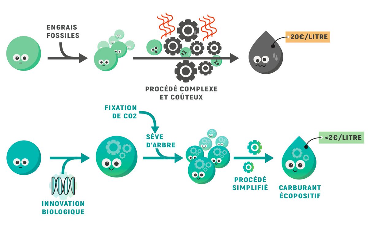 ProjetKodama's tweet photo. En plus d'avoir un procédé de production #ecopositif 💚 , le #biocarburant Kodama est 10X moins cher qu'un biocarburant actuel 👏 . Découvrez le projet complet ici : https://t.co/JHF35V1P5z https://t.co/eNnCwWrp9M
