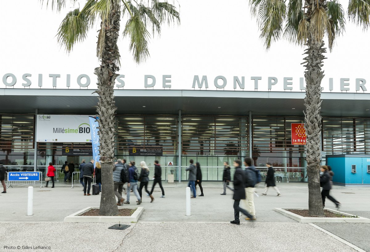 #MillésimeBio2019 – Dans un marché des vins #bio en croissance, le salon pro Millésime Bio s’élargit encore et accueillera à Montpellier en janvier plus de 1 200 exposants : nouveau record ! millesimebio.com