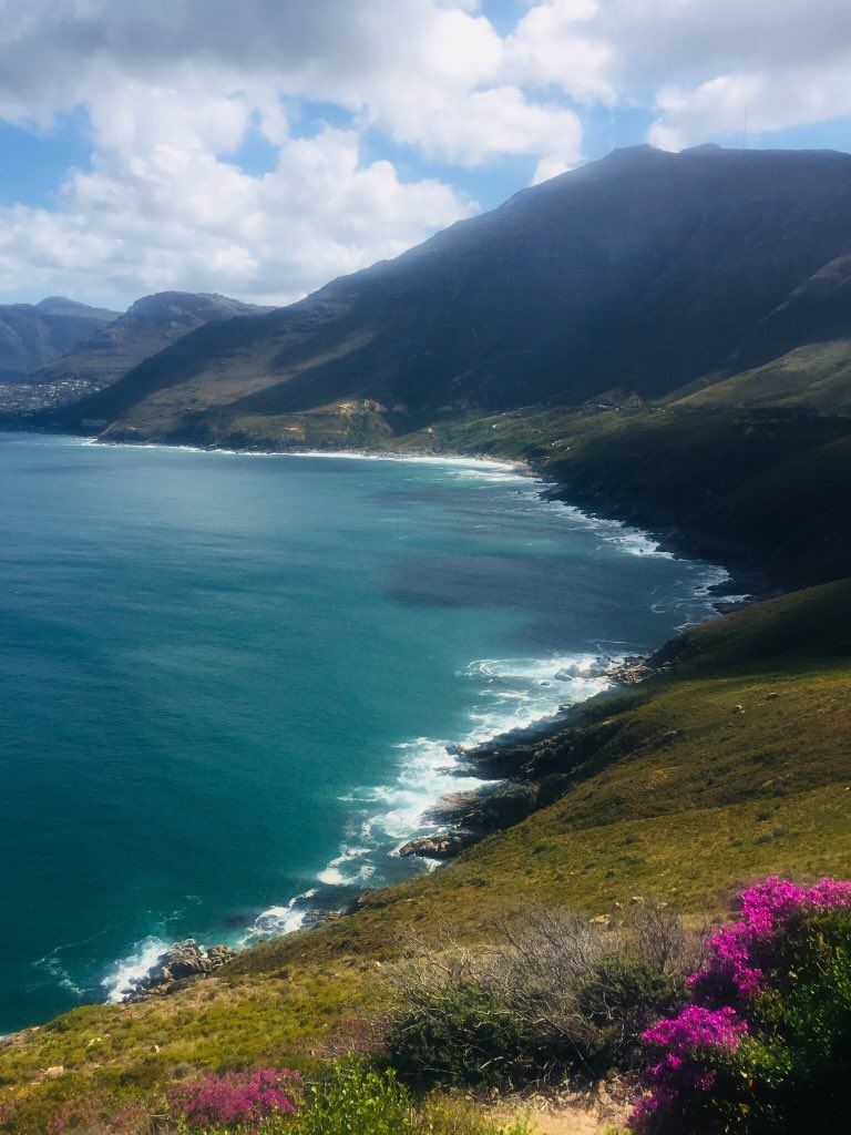 knightonreeve's tweet photo. Exploring the Cape Peninsula. Amazing scenery, spectacular beaches, penguins and a gourmet picnic. #escapeexplore #penguins #MeetSouthAfrica #KnightonReeve #SouthAfricaLuxeFam #gourmetpicnic #Luxurytravel https://t.co/8pjaanyaBd