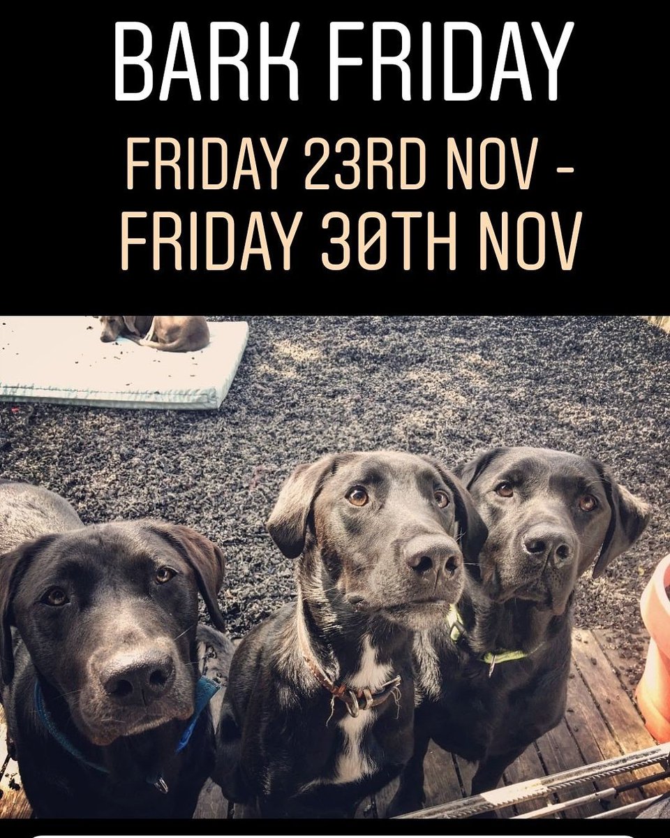 RosieDogDaycare's tweet photo. 🐶⚫ #BARKFRIDAY ⚫🐶

#ROSIESPLACE WILL BE OFFERING 
50% OFF #DOGWALKS
20% OFF A FULL DAY #DAYCARE

BETWEEN #FRIDAY 23RD - FRIDAY 30TH NOV

ONLY 1 TIME USE PER CUSTOMER - CANNOT BE USED WITH ANY OTHER #DISCOUNTS 

🐕 #CALL NOW TO BOOK - 0191 236 3969 🐕

#BlackFriday #barkfriday https://t.co/AWAkXO0PHH