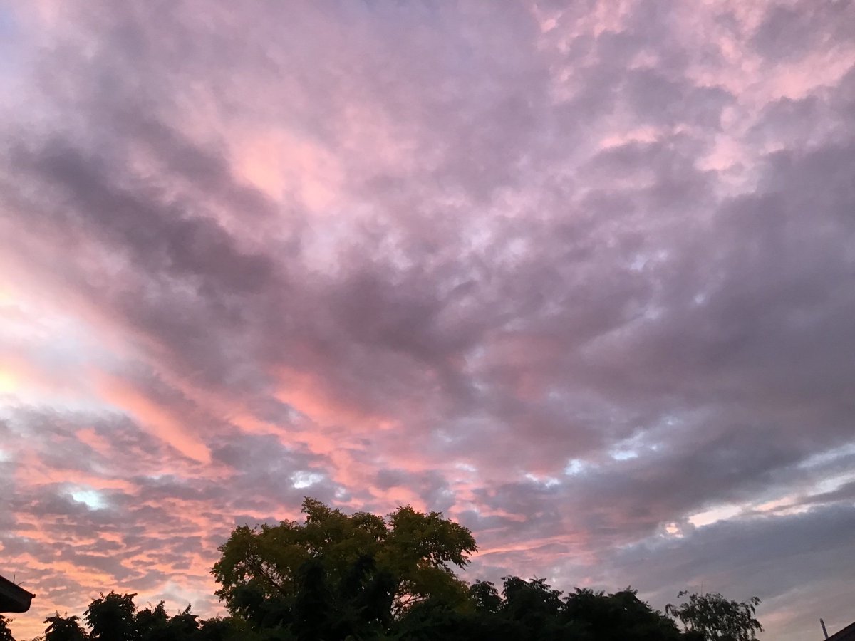 D_Melissa2's tweet image. What an amazing sky tonight. Whoever you are, wherever you, may happy things come your way. Mindfulness, enjoy the moment and people you love in your life. Let the noise of negative people be but a gentle humming because you value the precious things you have. Live the best you💓