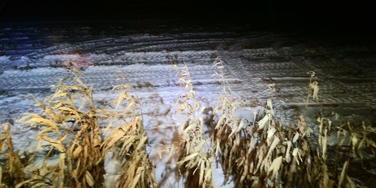 rip_vg's tweet image. AMEN to my #harvest18.