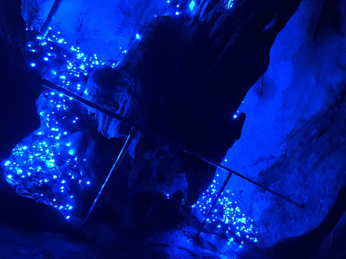 以外と怖かった😱龍河洞