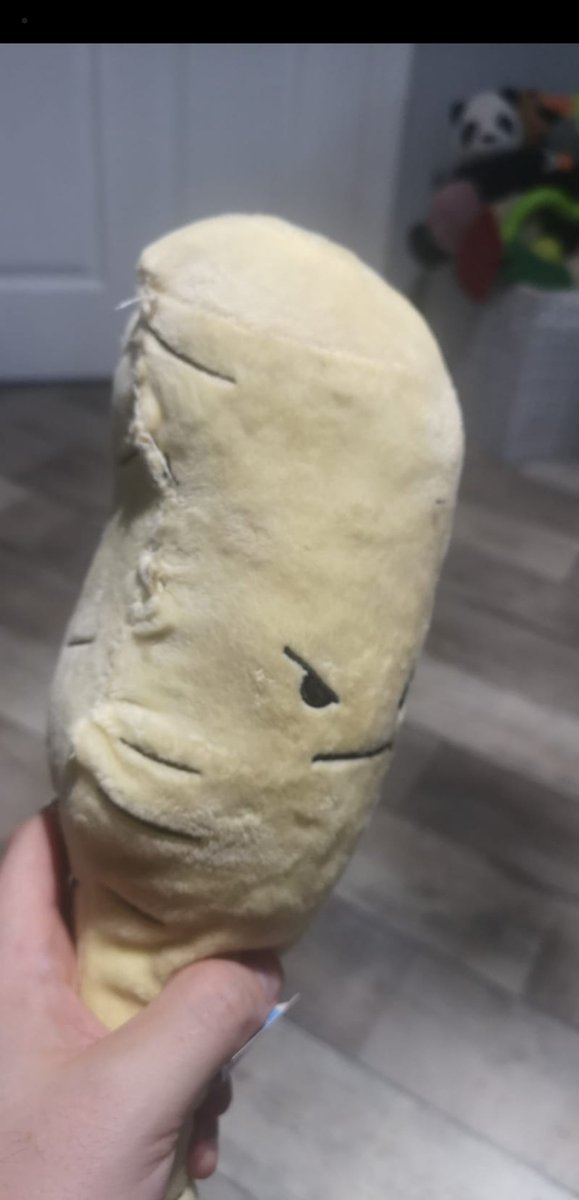 RobynMcmahon's tweet image. Quadruple amputee but Pascal has survived his horrific ordeal and is now recovering. #savepascal @AldiUK