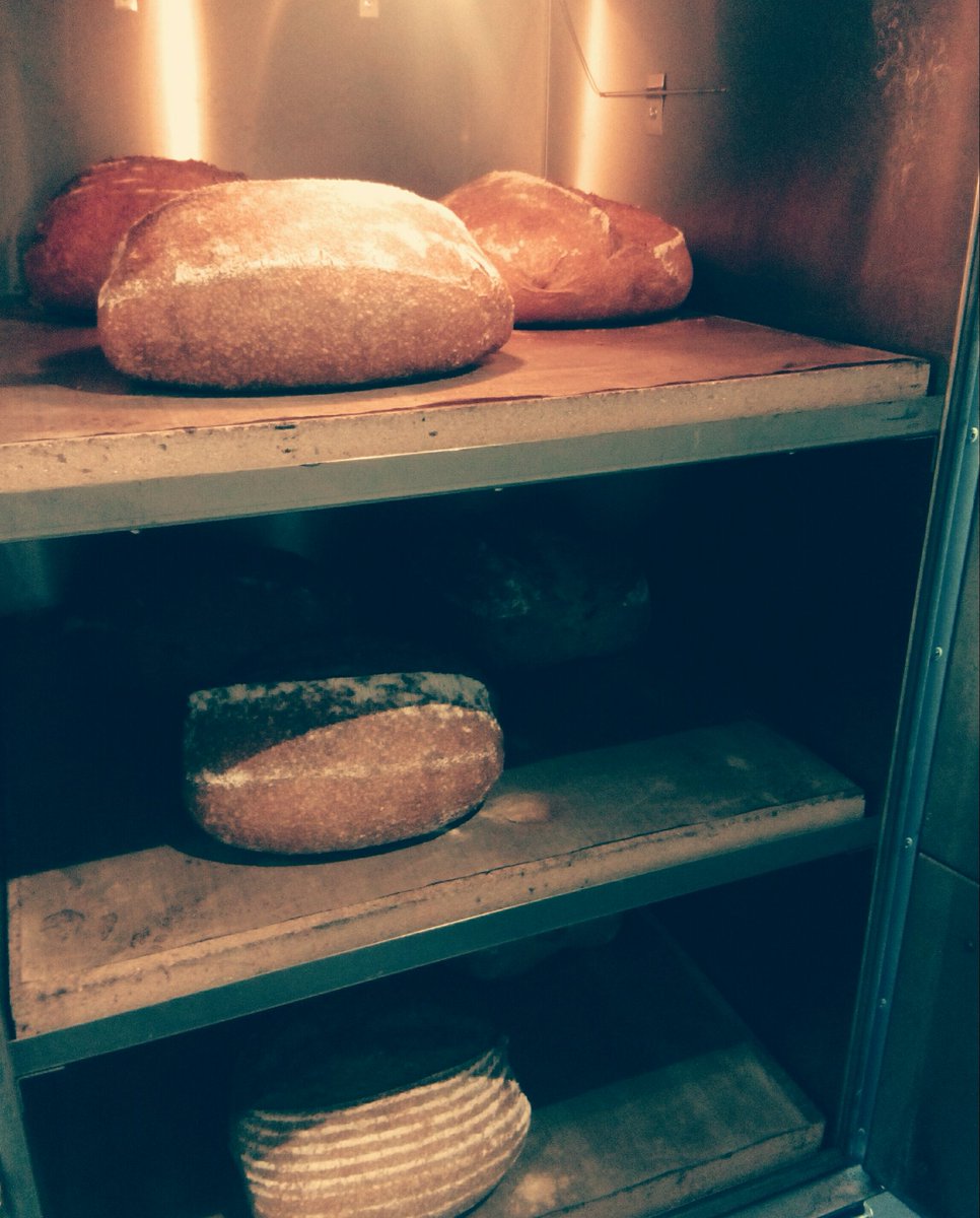 PpHurst's tweet photo. The last batch of Fridays bread getting a tan 🙌 #organic #sourdough #bread #flourwatersalt #fermentation #durrowmills #orielseasalt #thisisirishfood #realbread #realbreadireland https://t.co/4RaNLCJD47
