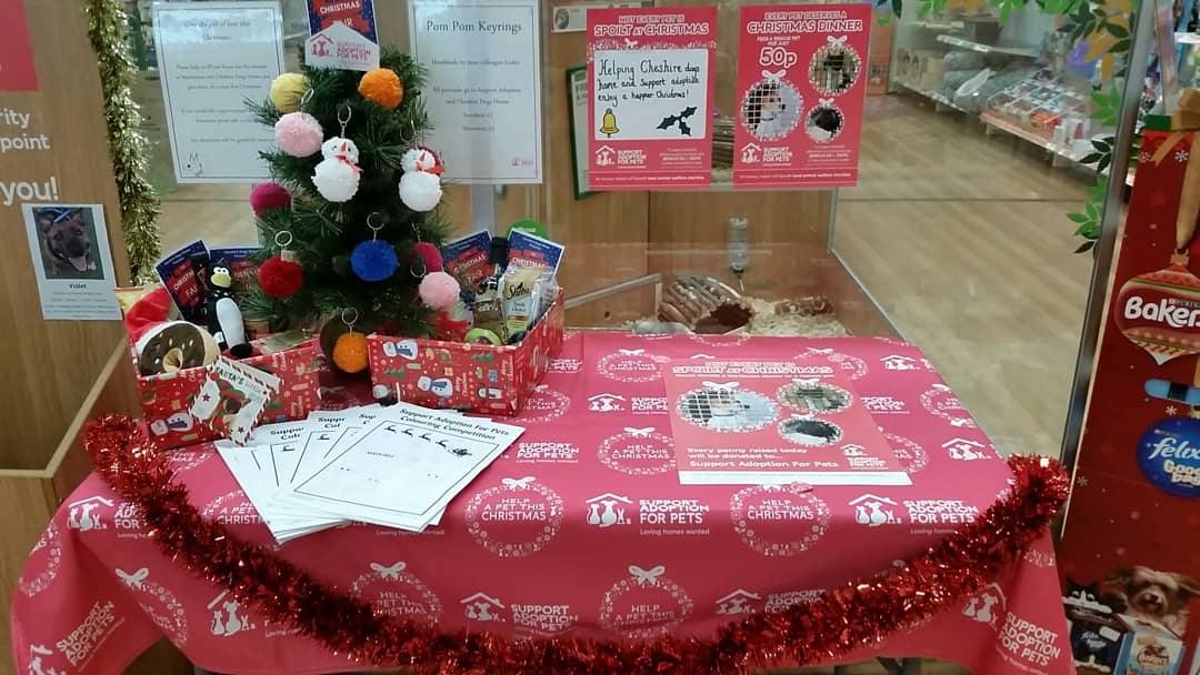 Winwick_PAH's tweet photo. 🎄 Santa Paws has started! Can you help animals that need re-homing have a happier Christmas?🎄🐶🐱🐰🐾❤ @AdoptionForPets @manchdogs @CheshDogsHome #Christmas #charity https://t.co/9mivLytKKQ