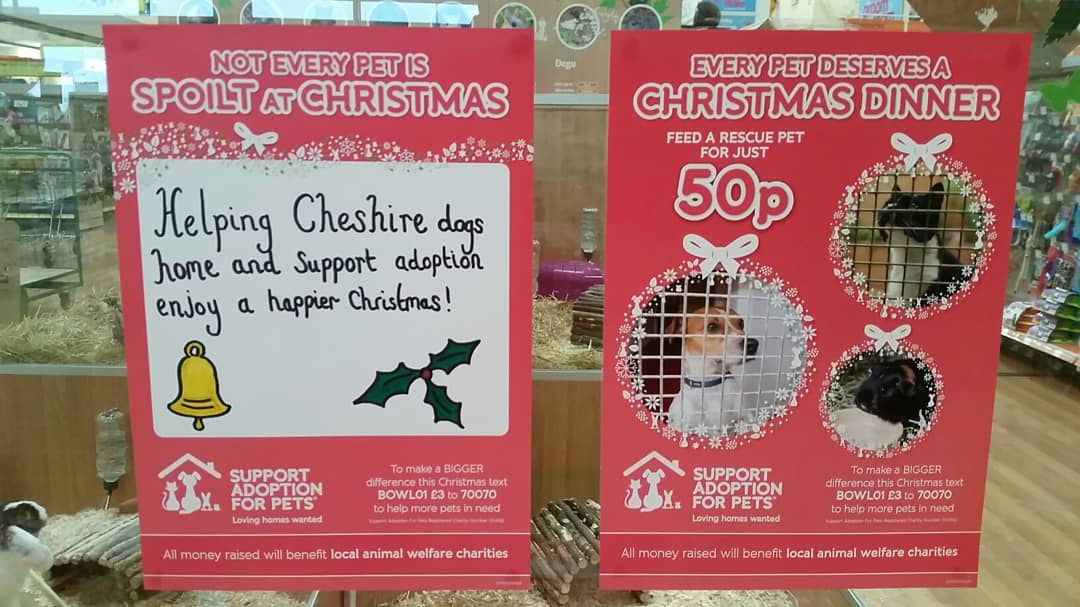 Winwick_PAH's tweet photo. 🎄 Santa Paws has started! Can you help animals that need re-homing have a happier Christmas?🎄🐶🐱🐰🐾❤ @AdoptionForPets @manchdogs @CheshDogsHome #Christmas #charity https://t.co/sfesdXADW1