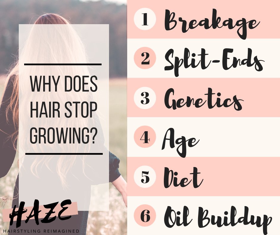 HazeSalon's tweet photo. Has your #hair just stopped #growing? Finding out why is the first step to the #cure. Read more here: https://t.co/oR3aCHOt4S

#hairloss #hairextensions #dermatology #haircare #genetics #growth #hairstyle #dubai #blogger #blog #diet #health #FridayMotivation #JummahMubarak https://t.co/Nyf9oiUDL2