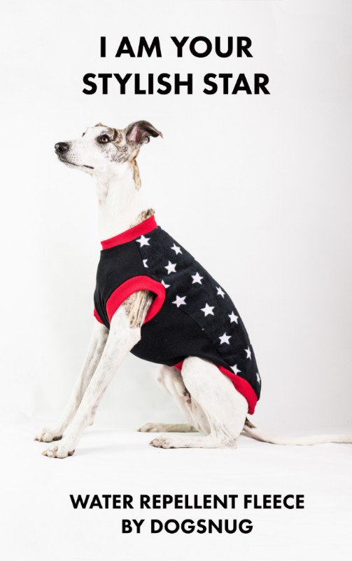 15% Off Water Repellent Jumpers - 🐈 ❤ 🐩 Keeping it Snuggly &amp; Dry - mailchi.mp/dogsnug/spring…