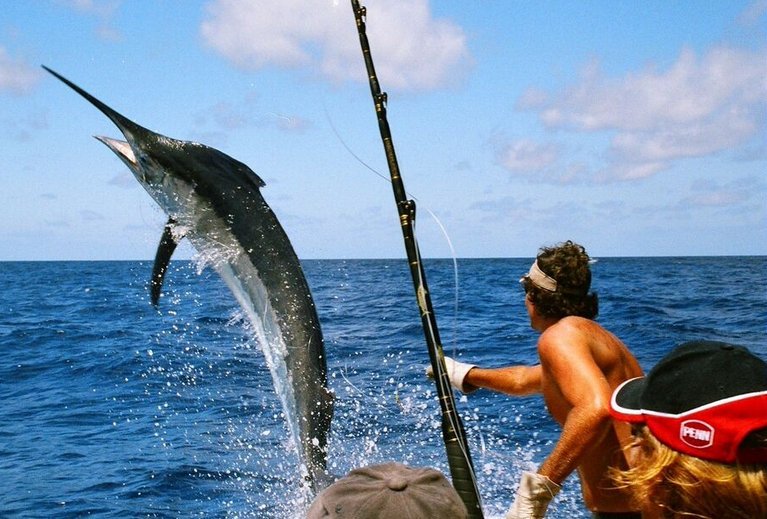 YachtsL's tweet photo. Booking a vessel on the fantastic Cancun waters to enjoy a variety of water sports activity including fishing experience at Yachts Cancun Luxury Charters with the best guider team of yacht charter!! 

For more information Visits: - https://t.co/Rxq3rITIKQ

#FishingCharter https://t.co/6VAadgOCDG