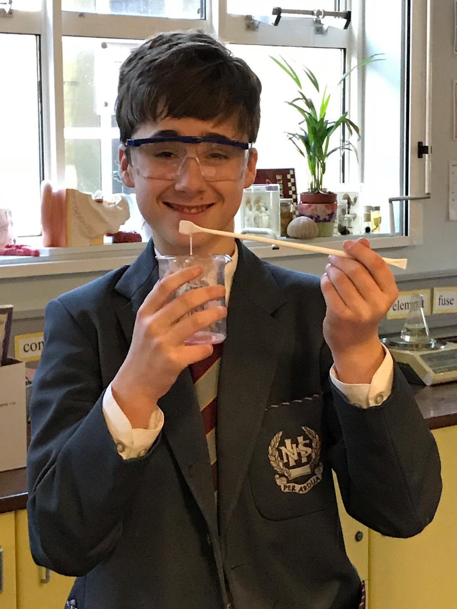 NewryHigh_Sci's tweet photo. Year 10 strawberry DNA extraction https://t.co/lKSUjAM51n