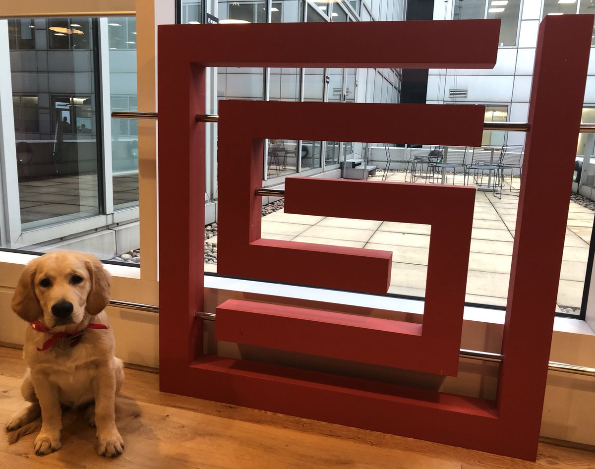 DeepSecureLtd's tweet photo. Our Marketing Director @HelenaCampbell1’s dog Eddy is the London office today dressed in Deep Secure red as he feels very strongly about making all Digital Content Secure! #contenttransform #steganography #dogintheoffice #contentthreatremoval #TGIF https://t.co/Y2nvPVvNCc