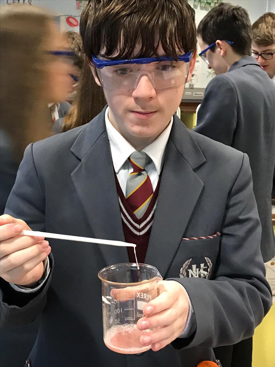 NewryHigh_Sci's tweet photo. Year 10 Strawberry 🍓 DNA extraction https://t.co/PwbCoeJIv2