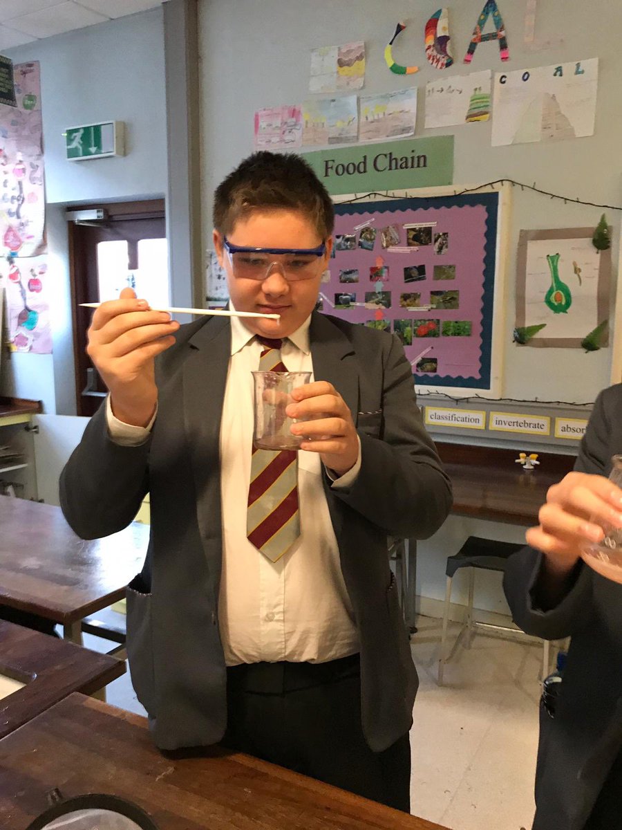 NewryHigh_Sci's tweet photo. Year 10 Strawberry 🍓 DNA extraction https://t.co/PwbCoeJIv2