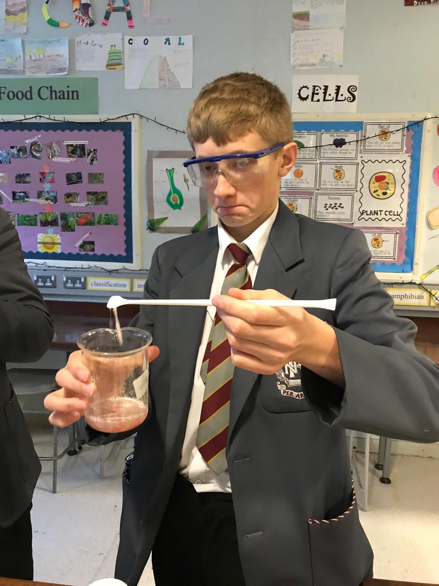 NewryHigh_Sci's tweet photo. Year 10 strawberry 🍓 DNA extraction https://t.co/zYBSAOsyji