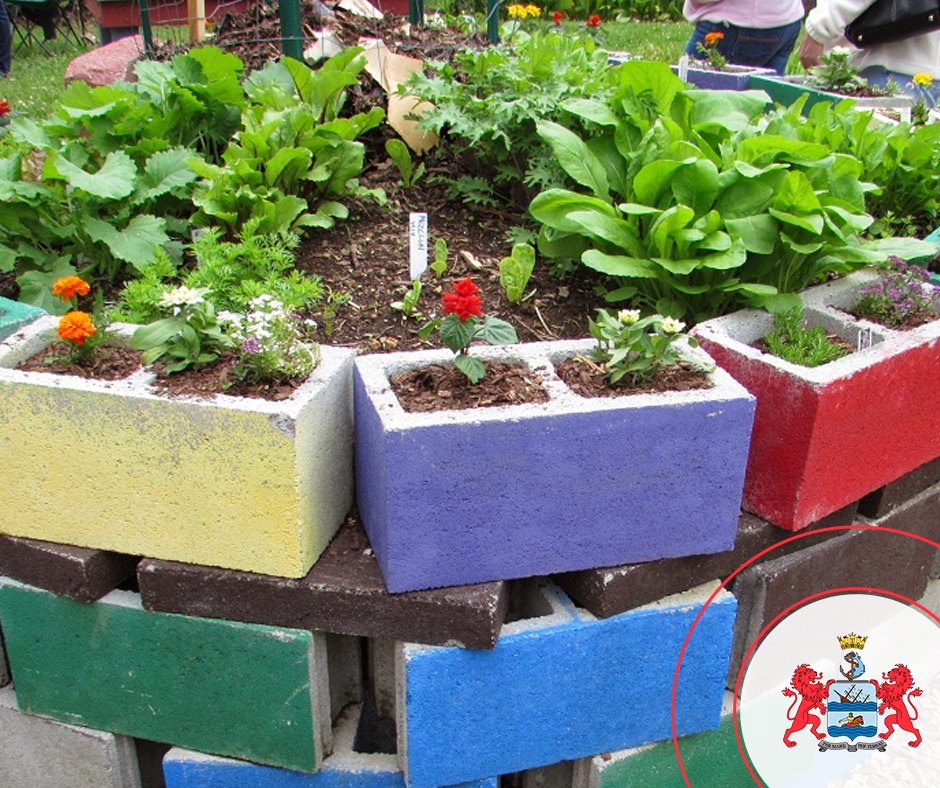 Have you heard of the #urbangardening project in #Woodstock? Read more about it in our #article: ow.ly/SJ5630muQe5