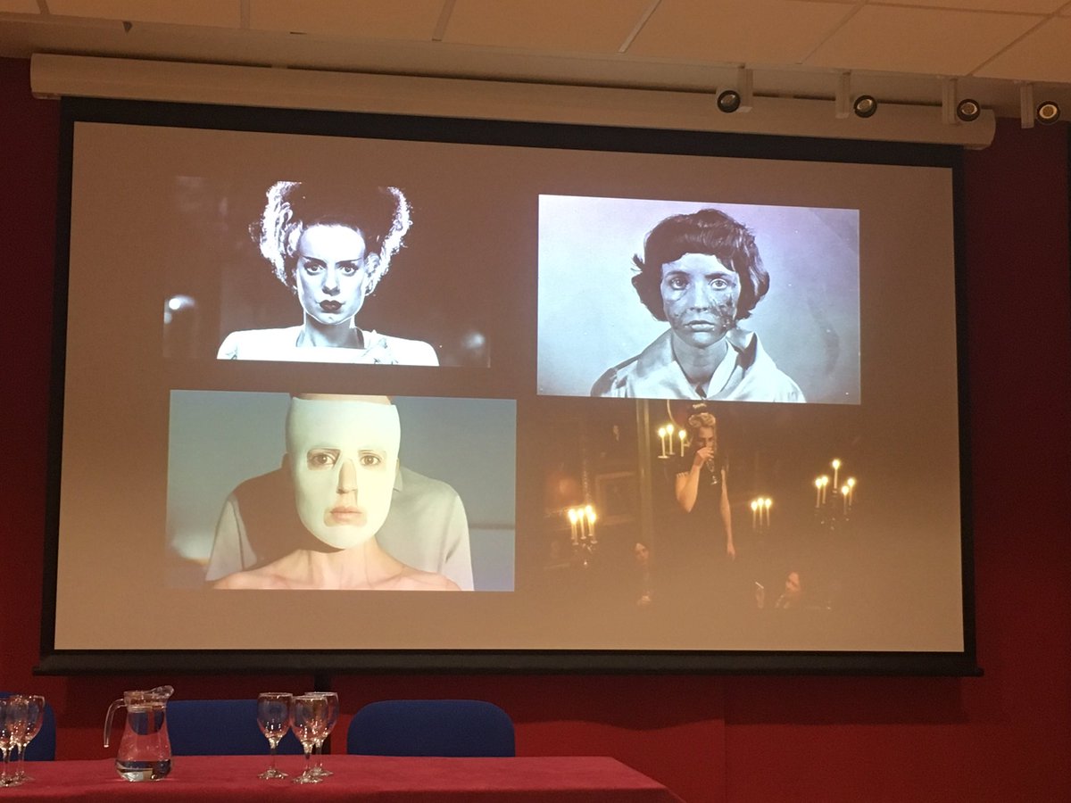 Dr Megen de Bruin-Molé 🦇 tweet media