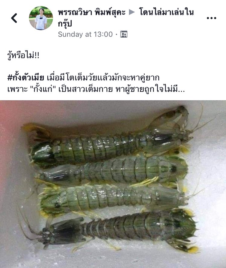 โดนไล่มาเล่นในนี้ tweet media