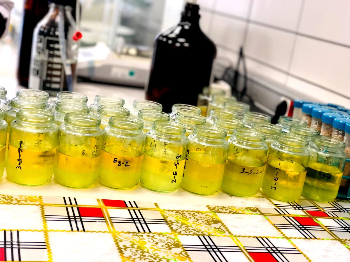edaustnts's tweet photo. Bende ki #BlackFriday çılgınlığı 🧿🎉
#NiğdeKampüsFotoğrafları
#NiğdeÖmerHalisdemirÜniversitesi
#AnalysisTime #lycopene
#Thanksgiving #FridayMotivation https://t.co/DmsZSUyV5Q