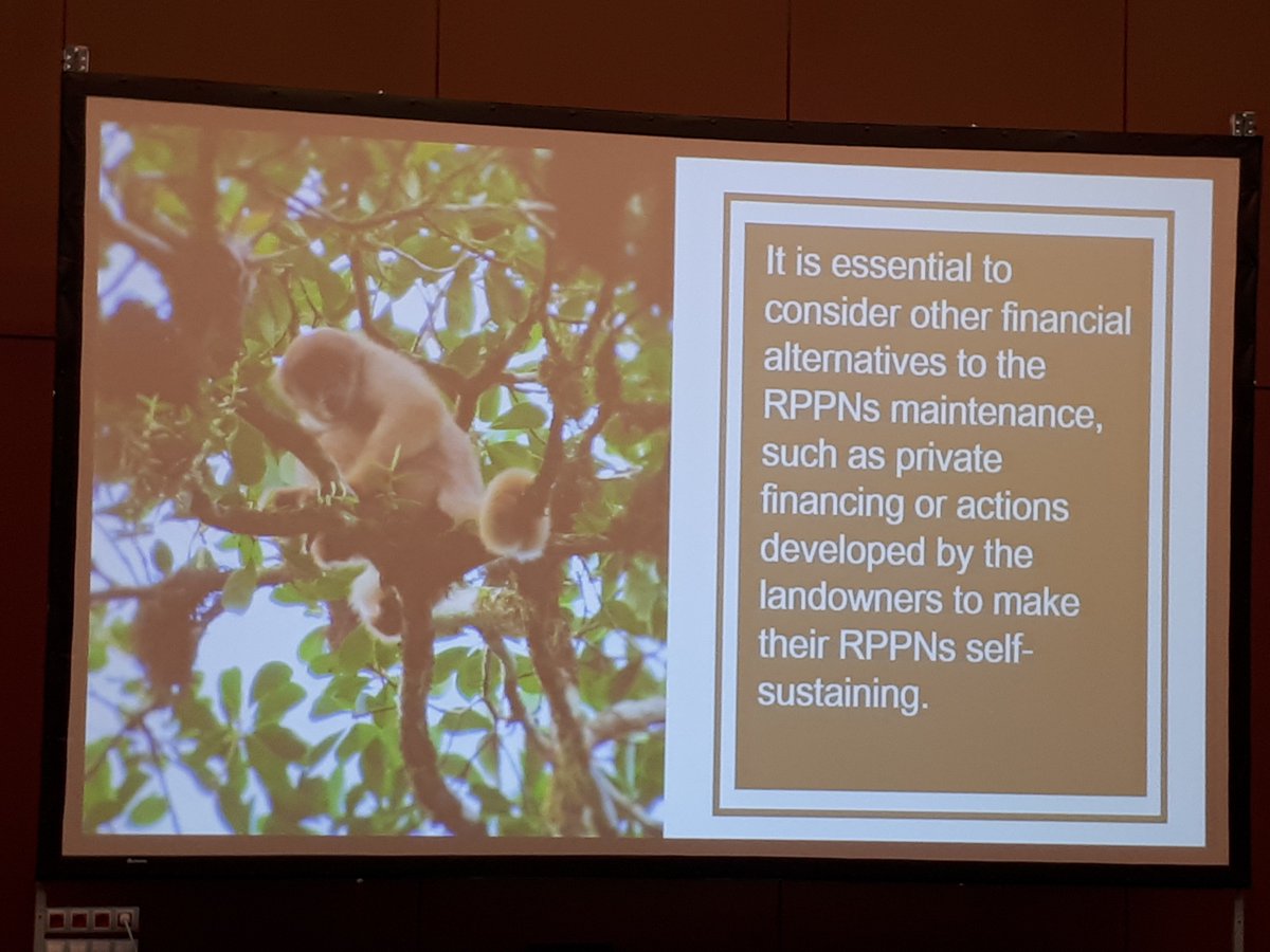BlgInitiative's tweet photo. Highlighting the relationship between sustainable development and forestry in Brazil🇧🇷 is Dr. Jéssica de Carvalho Hipólito. #BLGD18 #COP14 @intsustainlaw https://t.co/LQ6KWNQXEV
