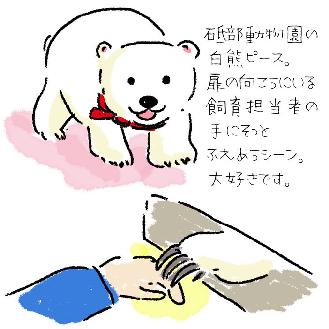 シロクマピースのtwitterイラスト検索結果