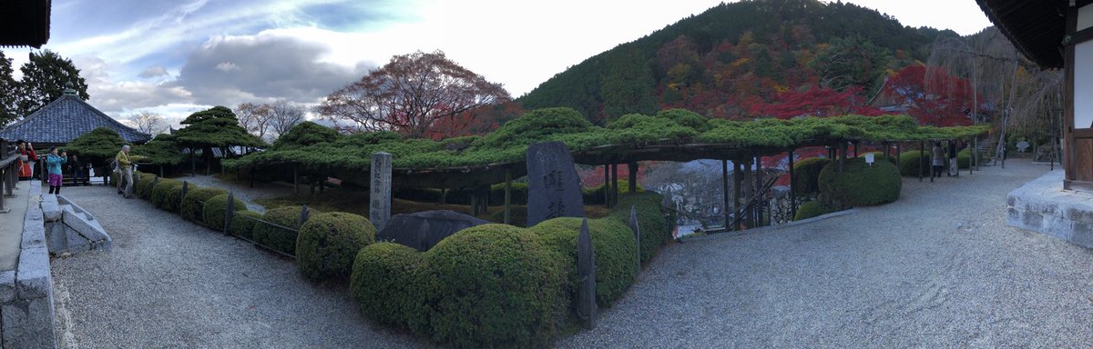 yohei_desu's tweet photo. #京都
#紅葉
#第2弾
#もみじ
#モミジ
#善峯寺
#日本一の松
ここは紅葉が綺麗やった✨ https://t.co/dWPhD8tXxZ