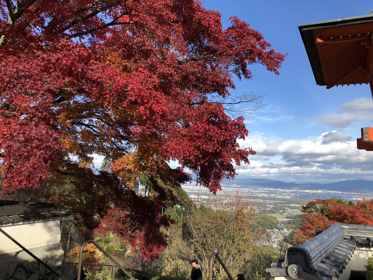 yohei_desu's tweet photo. #京都
#紅葉
#第2弾
#もみじ
#モミジ
#善峯寺
#日本一の松
ここは紅葉が綺麗やった✨ https://t.co/dWPhD8tXxZ